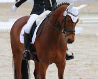 Turnier_Gero_2016_(31)_ergebnis